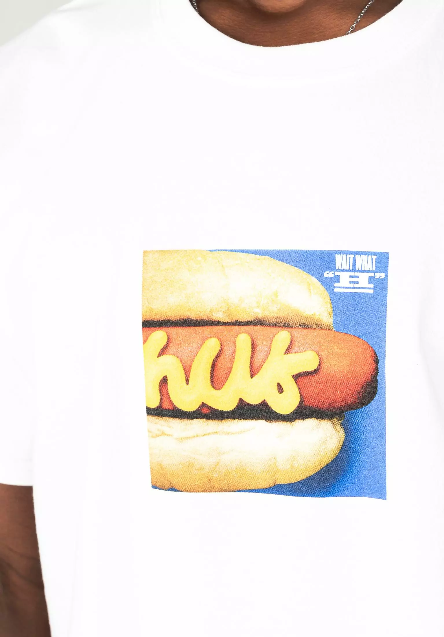 HUF Dirty Water Dog 2 HUF Dirty Water Dog – Bild 2